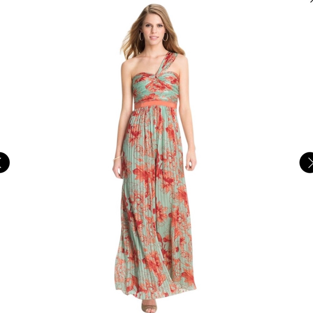 BCBG Inga Silk Chiffon One Shoulder Dress/Gown